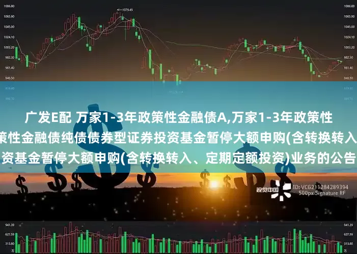 广发E配 万家1-3年政策性金融债A,万家1-3年政策性金融债C: 关于万家1-3年政策性金融债纯债债券型证券投资基金暂停大额申购(含转换转入、定期定额投资)业务的公告