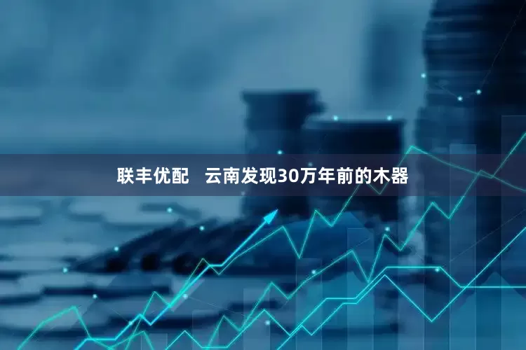 联丰优配   云南发现30万年前的木器