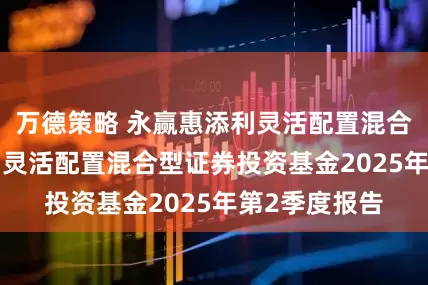 万德策略 永赢惠添利灵活配置混合: 永赢惠添利灵活配置混合型证券投资基金2025年第2季度报告