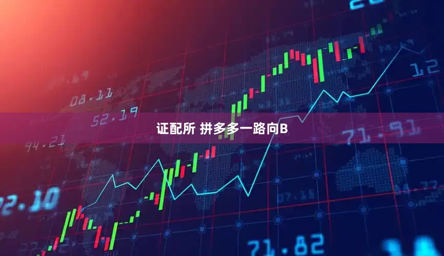 证配所 拼多多一路向B