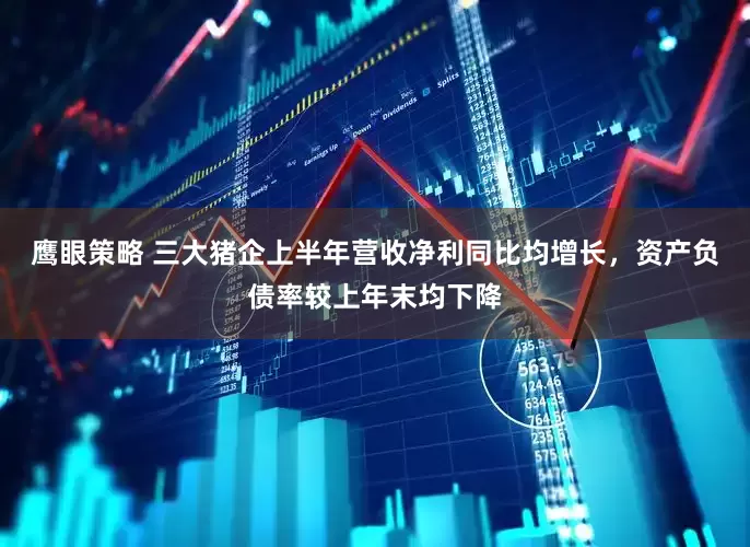 鹰眼策略 三大猪企上半年营收净利同比均增长，资产负债率较上年末均下降
