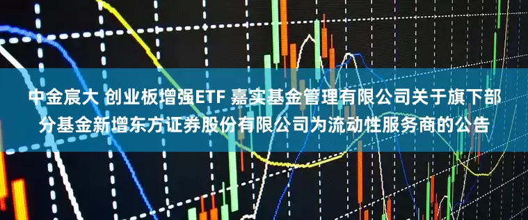 中金宸大 创业板增强ETF 嘉实基金管理有限公司关于旗下部分基金新增东方证券股份有限公司为流动性服务商的公告