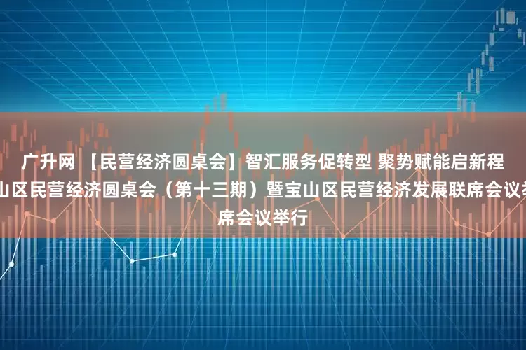 广升网 【民营经济圆桌会】智汇服务促转型 聚势赋能启新程 宝山区民营经济圆桌会（第十三期）暨宝山区民营经济发展联席会议举行